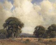 California Landscape with Oaks and Fence unknow artist